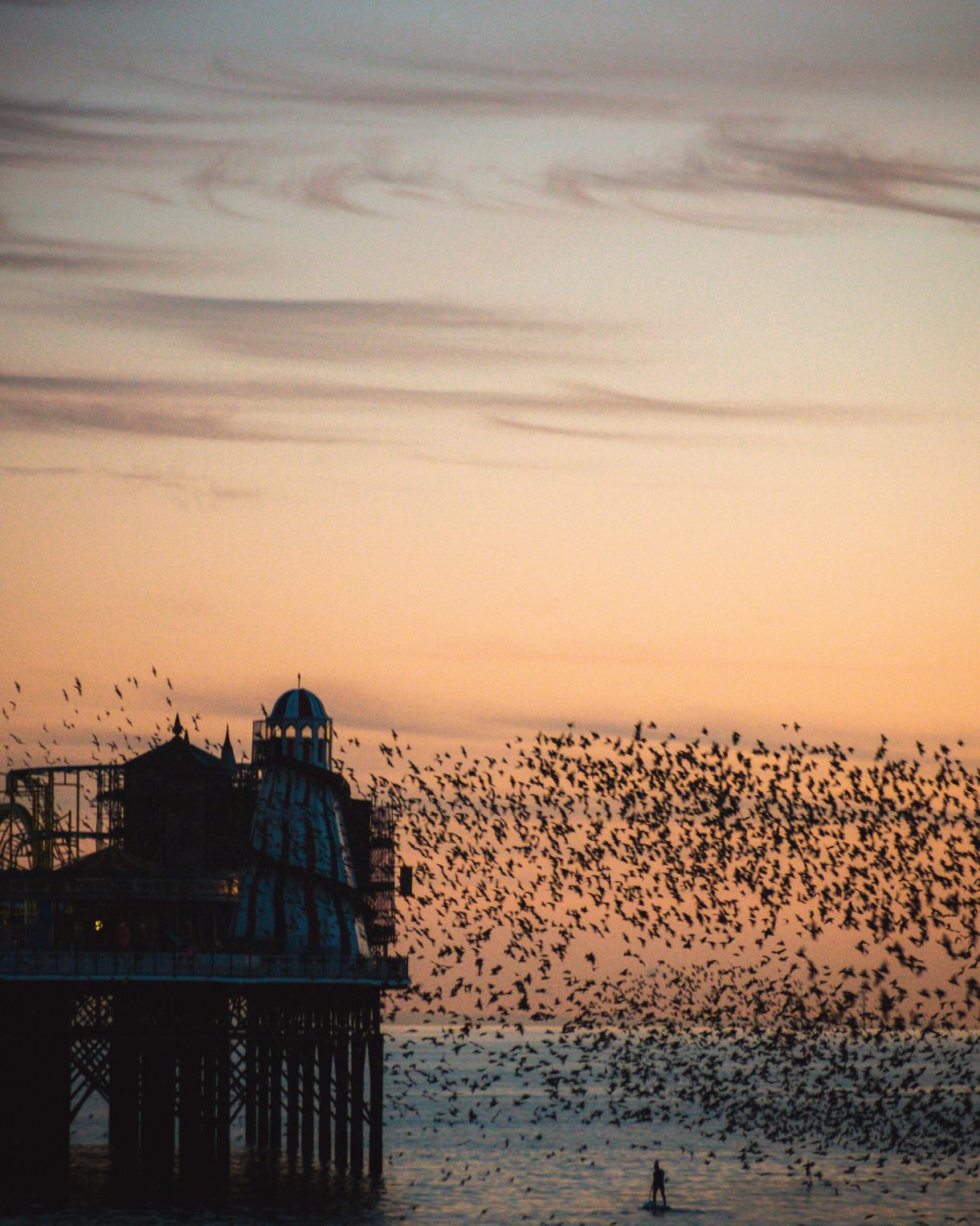 The sun sets behind a burned old pier. Birds flock in the foreground.