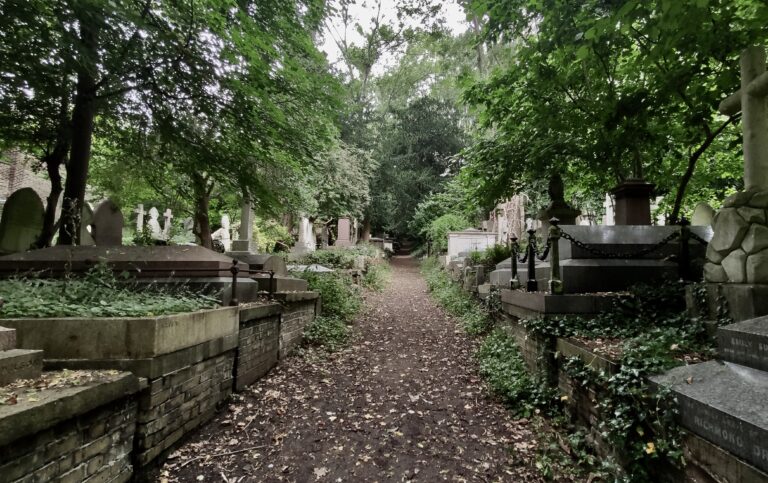 Graves covered in ivy stand in a forest cemetery