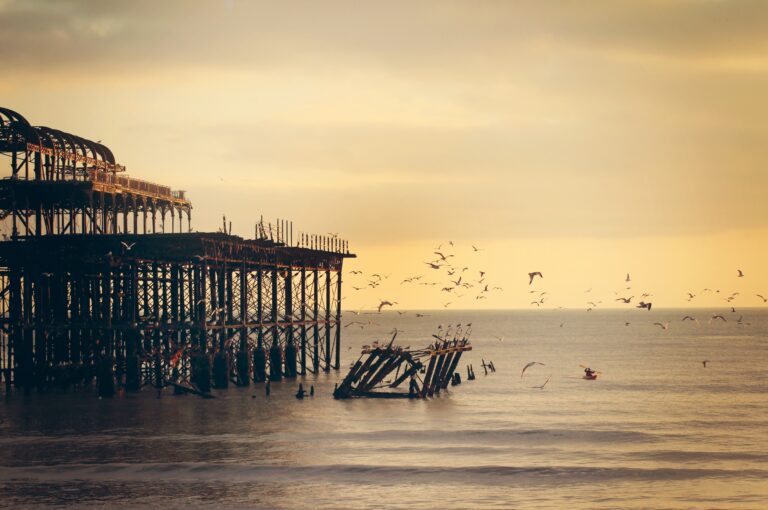 The sun sets behind a burned old pier. Birds flock in the foreground.