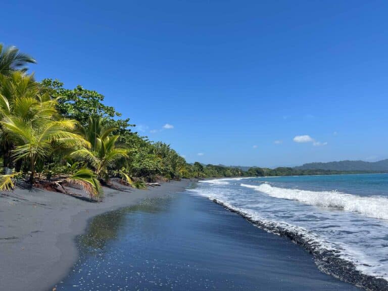 A black sandy beach with rainforest on one side and the sea on the other