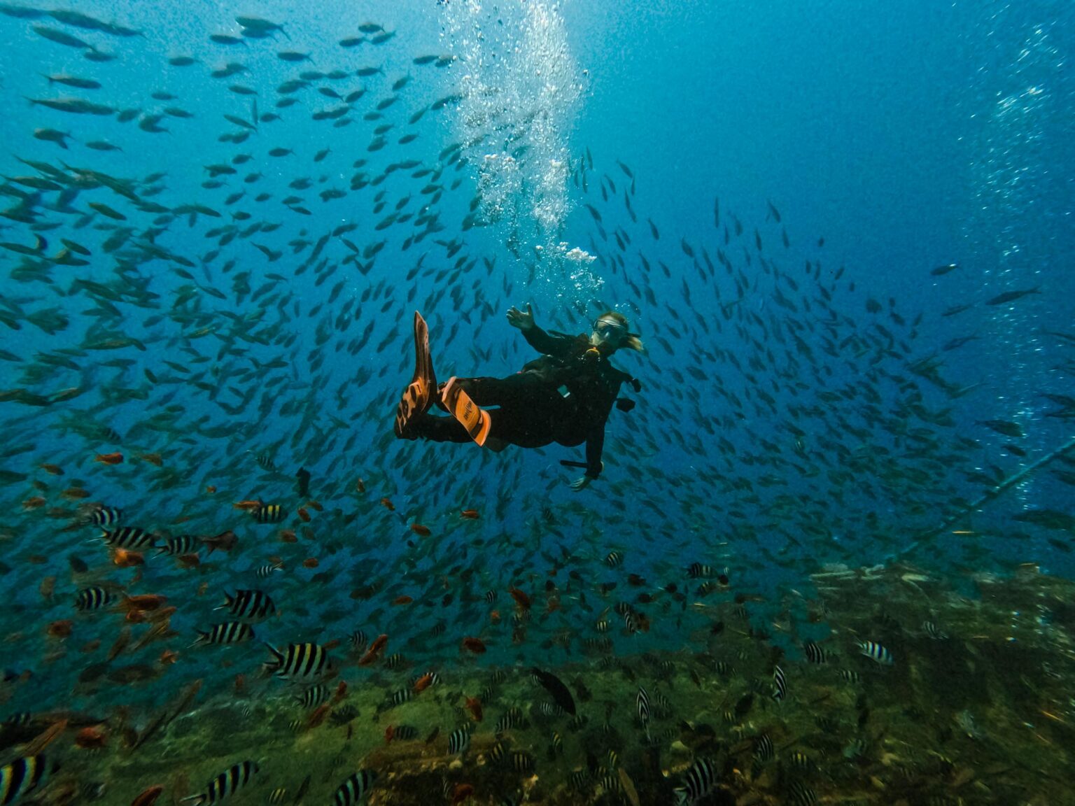 Diving Egypt’s Thistlegorm Wreck: the ULTIMATE guide - Discoveny